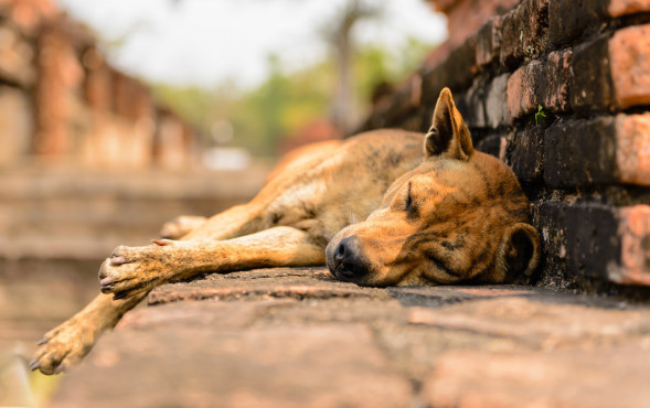 Фотоаппарат зеркальный Nikon D750 Body