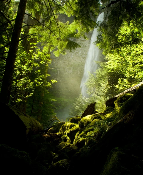 Фотоаппарат беззеркальный OM System OM-5 Kit 14‐150mm F4‐5.6 II Silver