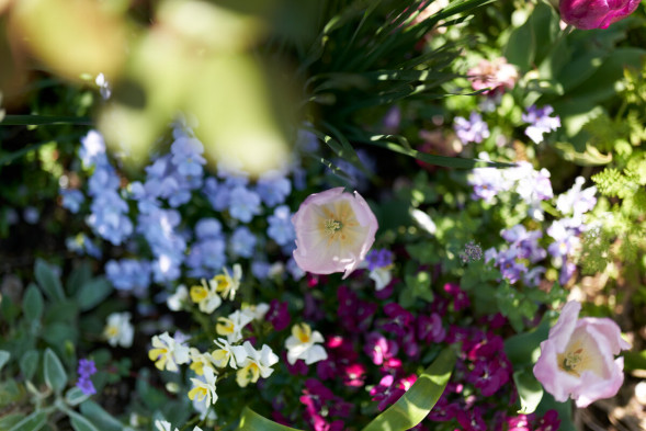 Объектив Sigma 35mm f/2 DG DN Contemporary Sony E 