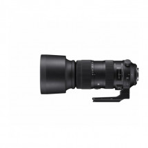 Объектив Sigma AF 60-600mm f/4.5-6.3 DG OS HSM Sports Nikon F в Москве