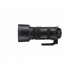 Объектив Sigma AF 60-600mm f/4.5-6.3 DG OS HSM Sports Nikon F в Москве