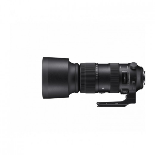 Объектив Sigma AF 60-600mm f/4.5-6.3 DG OS HSM Sports Nikon F — 