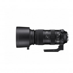 Объектив Sigma AF 60-600mm f/4.5-6.3 DG OS HSM Sports Nikon F в Москве