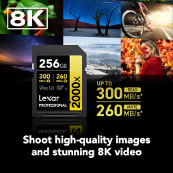 Карта памяти Lexar SDXC 256GB Professional 2000x UHS-II U3 V90 300/260 MB/s в Москве