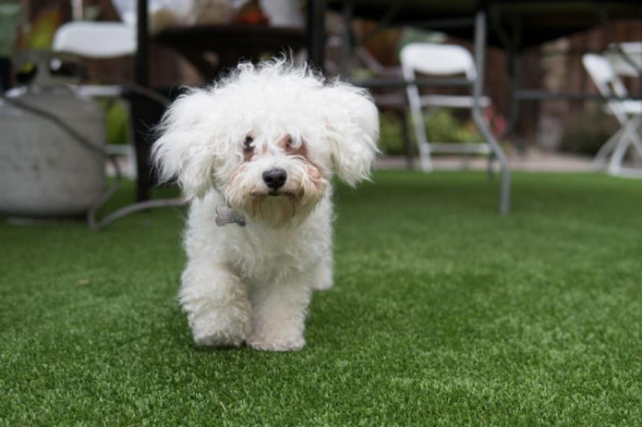 Объектив Sigma 30mm f/1.4 DC DN Contemporary Fujifilm X