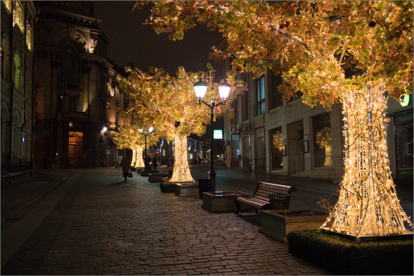 Фотоаппарат зеркальный Nikon D5 Body