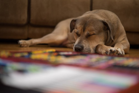 Вспышка Sony HVL-F20M