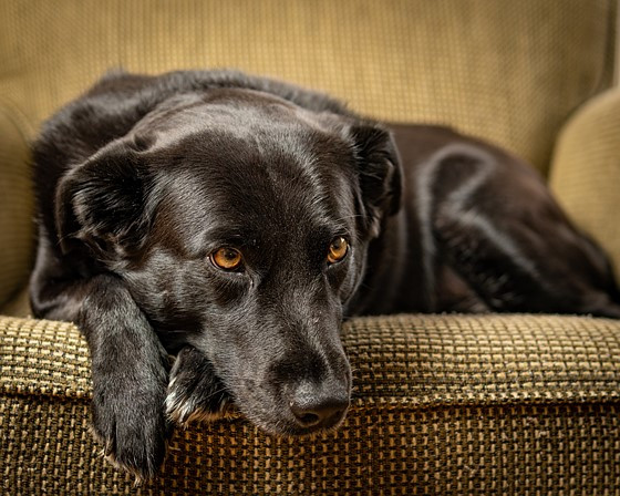 Фотоаппарат беззеркальный Sony Alpha ILCE-6400 Kit E PZ 16–50 мм F3.5–5.6 OSS (SELP1650), черный – отзывы