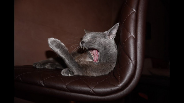 Фотоаппарат беззеркальный Sony Alpha ILCE-6400 Body