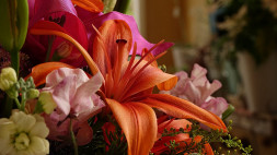 Видеокамера Sony PXW-Z190 в Москве