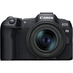 Фотоаппарат беззеркальный Canon EOS R8 Kit RF 24-50mm f/4.5-6.3 IS STM в Москве