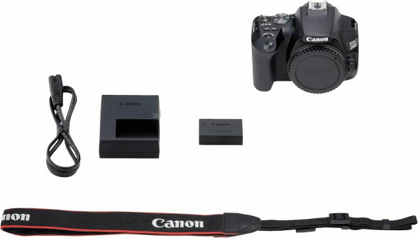 Фотоаппарат зеркальный Canon EOS 250D Body