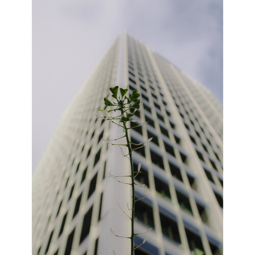 Фотоаппарат беззеркальный OM System OM-3 kit 12‐45mm F4 PRO Silver