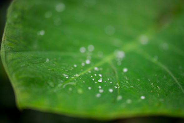 Объектив Sigma 50mm f/1.2 DG DN Art Sony FE