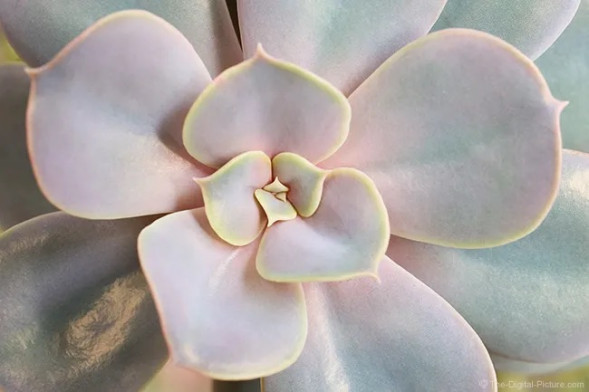 Объектив Tamron 90mm f/2.8 Di III Macro VXD Sony FE